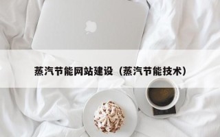 大连蒸汽节能网站建设（蒸汽节能技术）